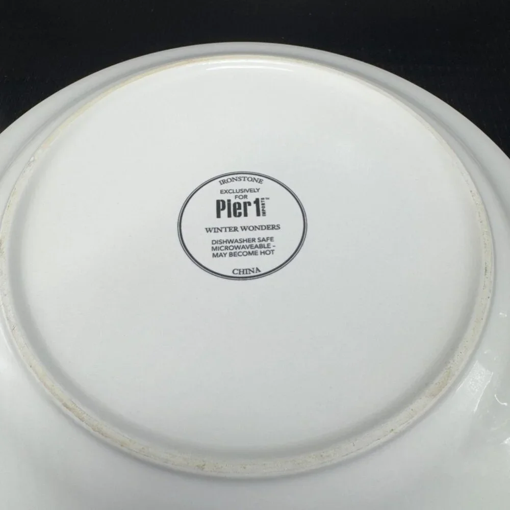 PIER 1 Winter Wonders Ironstone Plate Dish Set 4 Snowman Penguin Christmas 9inch